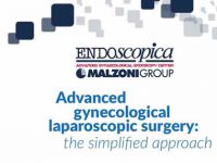 Advanced gynecological laparoscopic surgery: the simplified approach